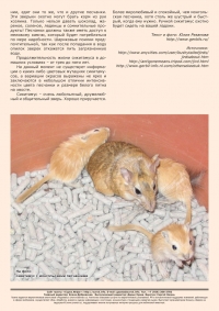 Газета СУРОК.ИНФО №1 (28), 2011 г., стр. 2