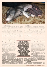 Газета СУРОК.ИНФО №1 (28), 2011 г., стр. 3