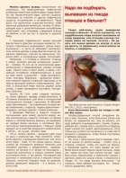 Газета СУРОК.ИНФО №1 (47), 2014 г., стр. 11