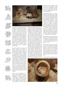 Газета СУРОК.ИНФО №3 (13), 2010 г., стр. 5