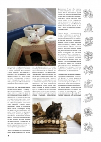 Газета СУРОК.ИНФО №3 (13), 2010 г., стр. 6