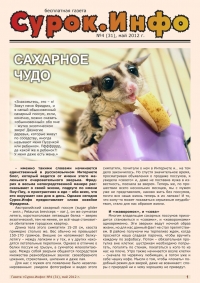Газета СУРОК.ИНФО №4 (31), 2012 г., стр. 1