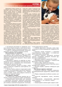 Газета СУРОК.ИНФО №5 (25), 2011 г., стр. 5
