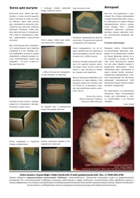 Газета СУРОК.ИНФО №6 (16), 2010 г., стр. 8