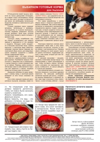 Газета СУРОК.ИНФО №6 (26), 2011 г., стр. 8
