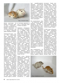 Газета СУРОК.ИНФО №7 (17), 2010 г., стр. 4