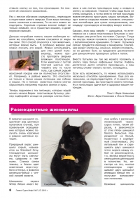 Газета СУРОК.ИНФО №7 (17), 2010 г., стр. 6