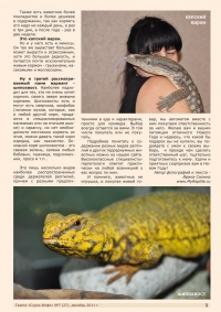 Газета СУРОК.ИНФО №7 (27), 2011 г., стр. 3