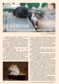 Газета СУРОК.ИНФО №7 (27), 2011 г., стр. 4