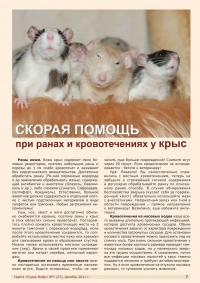 Газета СУРОК.ИНФО №7 (27), 2011 г., стр. 7