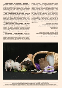 Газета СУРОК.ИНФО №7 (27), 2011 г., стр. 8