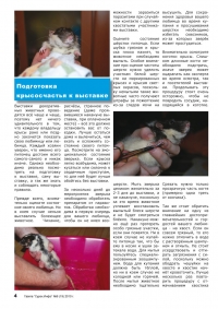 Газета СУРОК.ИНФО №9 (19), 2010 г., стр. 4