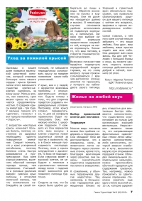 Газета СУРОК.ИНФО №10 (20), 2010 г., стр. 7