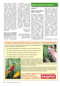 Газета СУРОК.ИНФО №11 (20), 2010 г., стр. 4