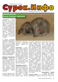 Газета СУРОК.ИНФО №12 (21), 2010 г., стр. 1