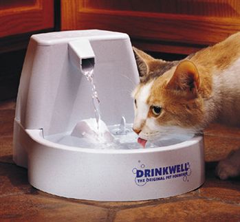 Утолить жажду после тренировок и игр вашему любимцу поможет чудо-фонтанчик Drinkwell